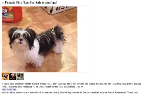 craigslist For Sale "dogs" in Dayton Springfield. . Craigslist dayton ohio pets